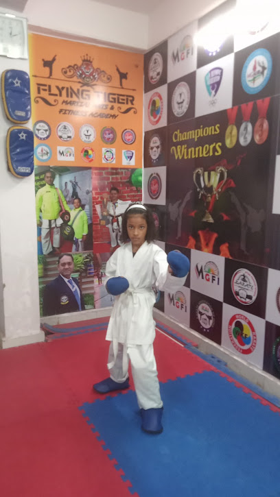 Flying Tiger Martial  Arts & Fitness Academy