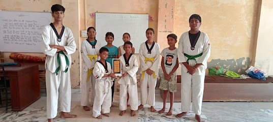 DLV Taekwondo Martial arts Academy