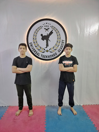 Universal Taekwondo Martial Art Traning Academy
