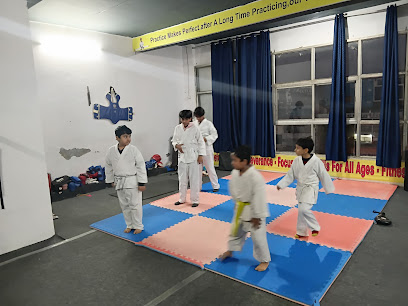V.V. Martial Arts Academy वी.वी. मार्शल आर्ट्स एकेडमी