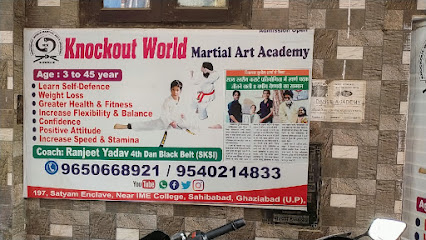 Knockout World Martial Arts Academy