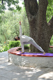 Mindful Yoga and Wellness Classes for Daily Balance