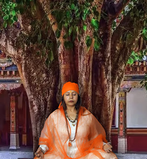Transformative Yoga Training for Holistic Wellbeing