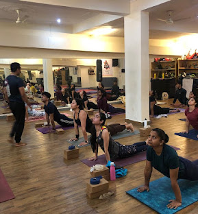 Traditional Yoga Learning for Holistic Health and Wellness