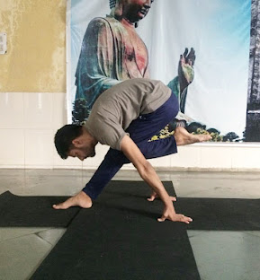 Traditional Yoga Learning for Holistic Wellbeing