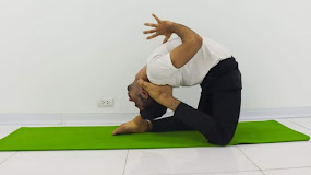 Yoga Programs for Fitness and Personal Transformation