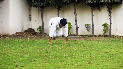 LEO Martial Arts Academy