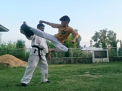 Amin Karate Academy