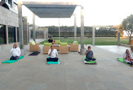 Shivshakti Yoga &  Wellness