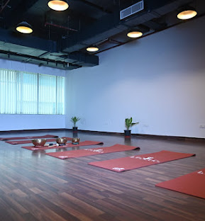 Yoga  Mudgal