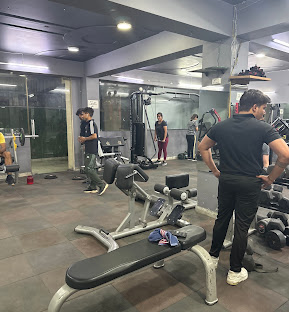 Steel Fitness  Studio