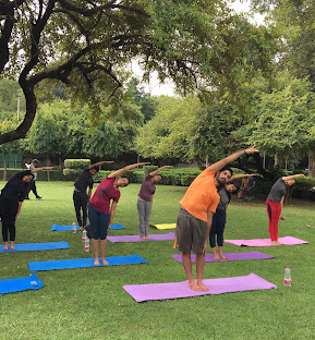 Apex Yoga  Studio