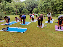 Hira Yogi  Wellness