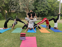 The Yoga  Space