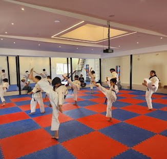 MeRitSfit Taekwondo  Academy