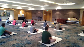 Ananda Yoga  Sadhana