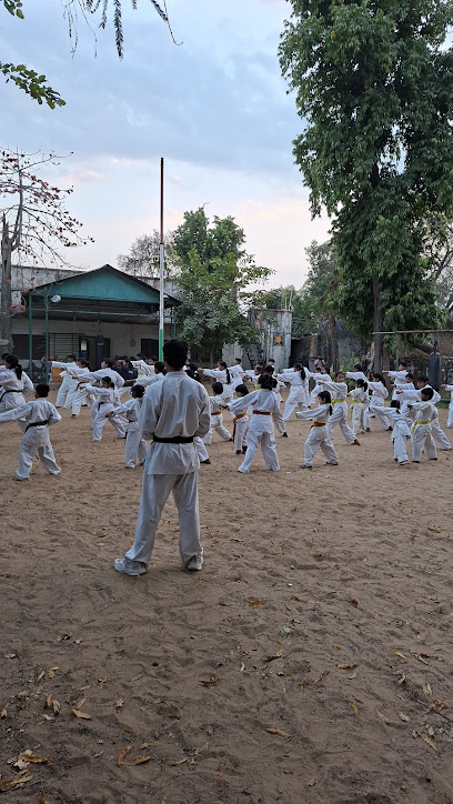 Iron Will - Martial Arts Academy Karate Club