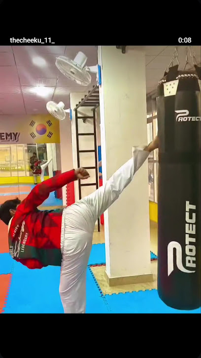 Marshfit Taekwondo Academy - JAIPUR Taekwondo Coaching Center