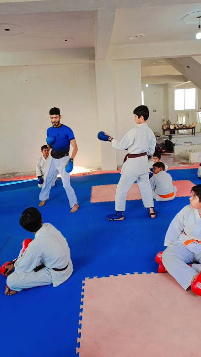 The Vipers Karate Academy (Office) Sensei Dinesh Choudhary Karate Club