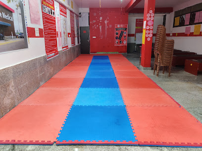 National Martial Art and Sports Academy (Kudi Branch) Sports School