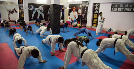 Leo Martial Arts Academy Martial Arts School
