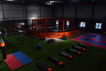 SRA MMA Martial Arts Club