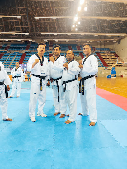 Pride Martial Arts Academy Martial Arts School