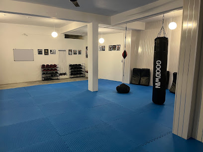 Himalayan Academy of Martial Arts Martial Arts School
