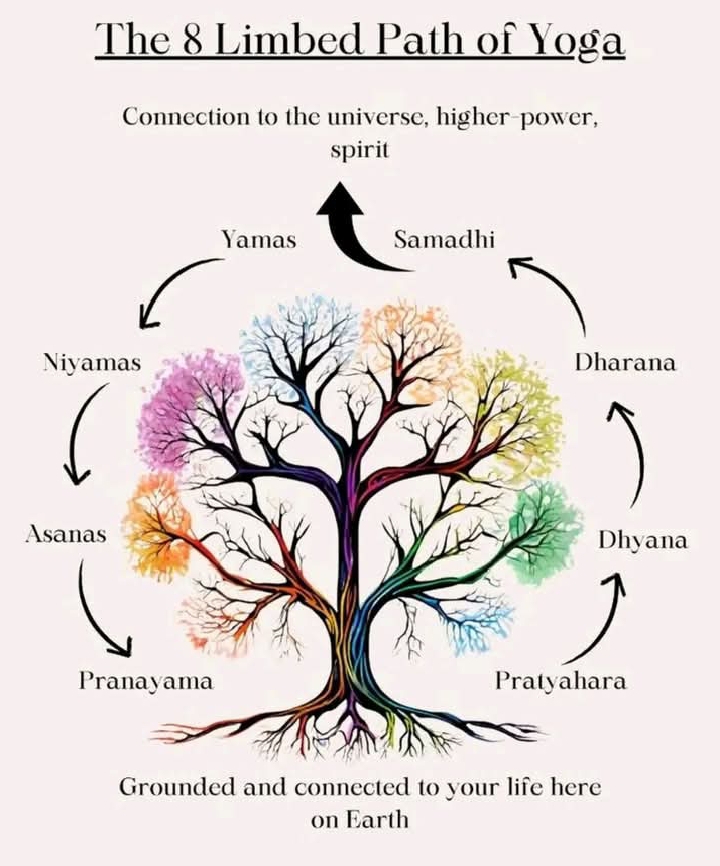 The Yoga Roots